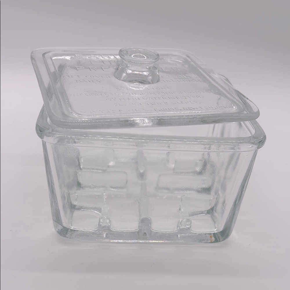 Vintage Glass Sanitary Cheese Preserver